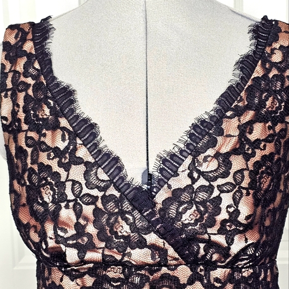 Classy Eliza J New York Black Lace & Nude Champagne Elegant Lady Cocktail Dress - Picture 2 of 15